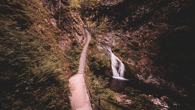 Free download black forest national park free picture to be edited with GIMP free online image editor
