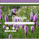 Blazing Star  screen for extension Chrome web store in OffiDocs Chromium