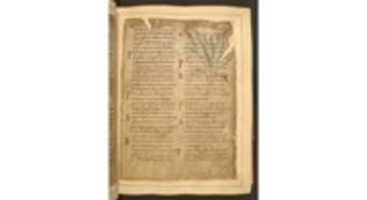 Free download BLCotton Vitellius CIIIF 21 R free photo or picture to be edited with GIMP online image editor