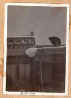 Free download Blizzard Of 1920, Keck Building Ice, April 5, 1920 free photo or picture to be edited with GIMP online image editor