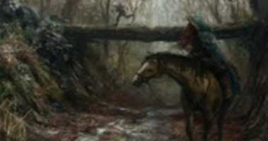 Free download Blood of Elves Fanart free photo or picture to be edited with GIMP online image editor