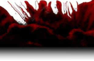 Free download BloodQuick free photo or picture to be edited with GIMP online image editor