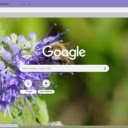 Bluebeard  screen for extension Chrome web store in OffiDocs Chromium