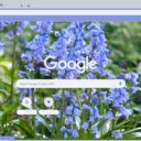 Bluebell  screen for extension Chrome web store in OffiDocs Chromium
