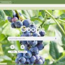 Blueberry Tree  screen for extension Chrome web store in OffiDocs Chromium