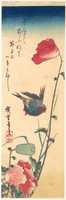 Free download Bluebird and Flowering Poppies free photo or picture to be edited with GIMP online image editor