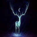 Blue Buck Nights Wallpaper Theme  screen for extension Chrome web store in OffiDocs Chromium