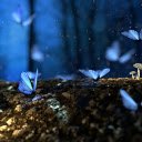 Blue butterflies  screen for extension Chrome web store in OffiDocs Chromium