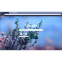 Blue Butterfly  screen for extension Chrome web store in OffiDocs Chromium