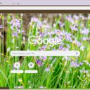 Blue Eyed Grass  screen for extension Chrome web store in OffiDocs Chromium