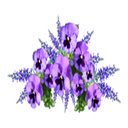 Free download Blue Flower -  free photo or picture to be edited with GIMP online image editor