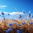 Blue Grass Field Wallpaper  screen for extension Chrome web store in OffiDocs Chromium