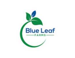 Free download blueleaflogo free photo or picture to be edited with GIMP online image editor