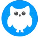 Blue Owl Chrome Theme  screen for extension Chrome web store in OffiDocs Chromium