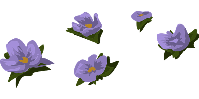 Free download Blue Petunia Flowers - Free vector graphic on Pixabay free illustration to be edited with GIMP free online image editor