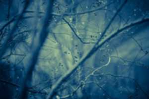 Free download bluerainyday free photo or picture to be edited with GIMP online image editor