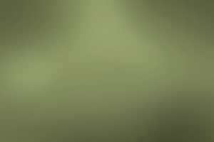 Free download blur_bg_1 free photo or picture to be edited with GIMP online image editor