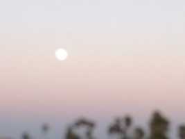 Free download Blurry pink moon free photo or picture to be edited with GIMP online image editor