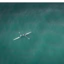 Boat racing team  screen for extension Chrome web store in OffiDocs Chromium