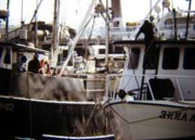 Free download Boats In Harbor free photo or picture to be edited with GIMP online image editor