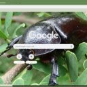Bo Canh Cung  screen for extension Chrome web store in OffiDocs Chromium