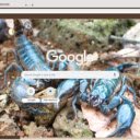 Bo cap xanh  screen for extension Chrome web store in OffiDocs Chromium