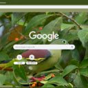 Bo Cau Canh Xanh  screen for extension Chrome web store in OffiDocs Chromium