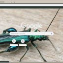 Bo Da  screen for extension Chrome web store in OffiDocs Chromium
