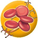 Body Cell Types  screen for extension Chrome web store in OffiDocs Chromium