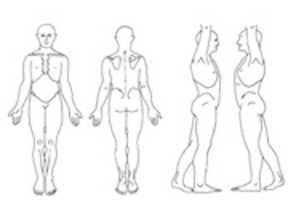 Free download body+chart+copy free photo or picture to be edited with GIMP online image editor