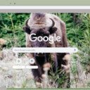 Bo Hoang  screen for extension Chrome web store in OffiDocs Chromium