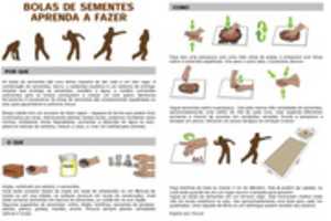 Free download Bolas De Sementes free photo or picture to be edited with GIMP online image editor