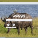 Bo ma  screen for extension Chrome web store in OffiDocs Chromium