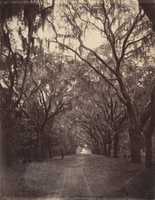 Download gratuito Bonaventure Cemetery, Four Miles from Savannah foto o immagine gratuita da modificare con l'editor di immagini online GIMP