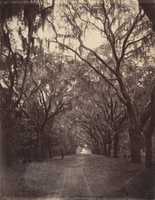 ດາວໂຫລດຟຣີ Bonaventure Cemetery, ສີ່ໄມຈາກ Savannah ຟຣີຮູບພາບຫຼືຮູບພາບທີ່ຈະແກ້ໄຂດ້ວຍບັນນາທິການຮູບພາບອອນໄລນ໌ GIMP