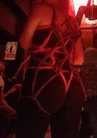 Free download bondage-shibari-salallena free photo or picture to be edited with GIMP online image editor