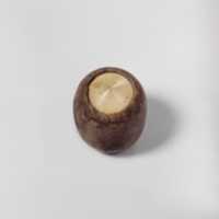 Free download Bone cylinder with pointed ivory top free photo or picture to be edited with GIMP online image editor