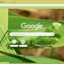Bo Ngua  screen for extension Chrome web store in OffiDocs Chromium