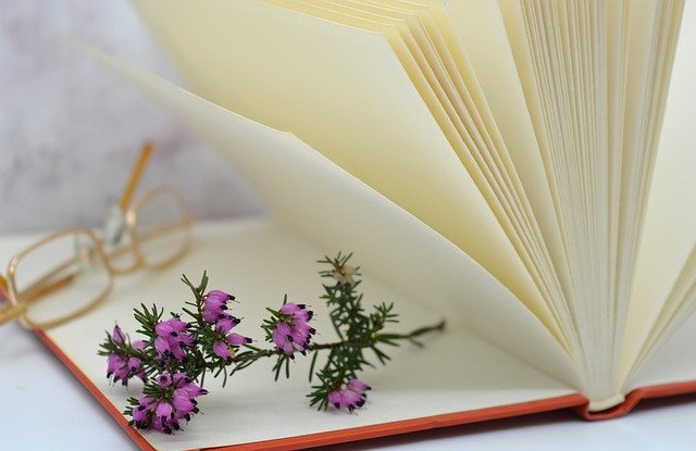 Kostenloser Download des Buchs „Heidekraut beim Lesen von Blumen“, kostenloses Bild zur Bearbeitung mit dem kostenlosen Online-Bildeditor GIMP