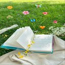 Book in the meadow Wallpaper  screen for extension Chrome web store in OffiDocs Chromium