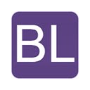 Bootlint This Page  screen for extension Chrome web store in OffiDocs Chromium