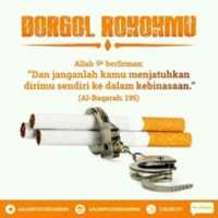 Free download Borgol Rokokmu free photo or picture to be edited with GIMP online image editor
