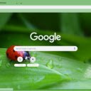 Bo Rua  screen for extension Chrome web store in OffiDocs Chromium