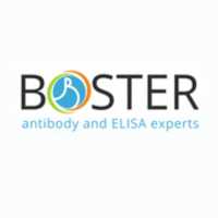 Free download Boster Biological Technology free photo or picture to be edited with GIMP online image editor