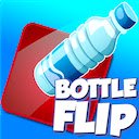 Bottle Flipping Offline Unblocked Game  screen for extension Chrome web store in OffiDocs Chromium