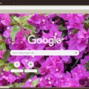 Bougainvillea  screen for extension Chrome web store in OffiDocs Chromium