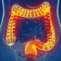 Free download Bowel Sounds free photo or picture to be edited with GIMP online image editor