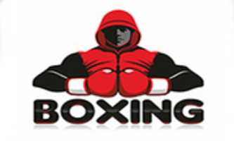 Free download Boxing free photo or picture to be edited with GIMP online image editor