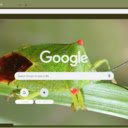 BoxIt  screen for extension Chrome web store in OffiDocs Chromium