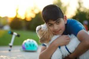 Free download Boy and Pup free photo or picture to be edited with GIMP online image editor